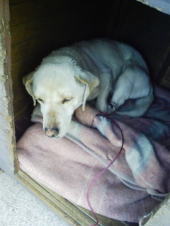 Stay Indoors,The inside