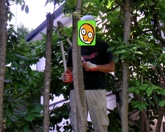 Stay Indoors,The inside