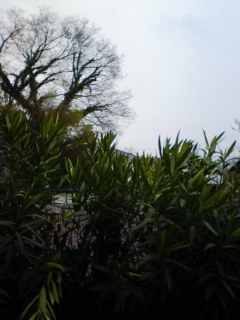 Stay Indoors,The inside