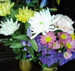 Stay Indoors,The inside