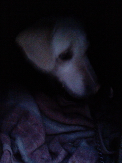 Stay Indoors,The inside