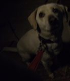 Stay Indoors,The inside