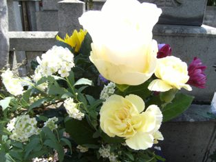 Stay Indoors,The inside