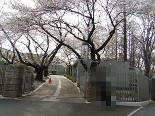 Stay Indoors,The inside