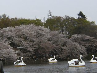 Stay Indoors,The inside