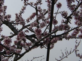 Stay Indoors,The inside