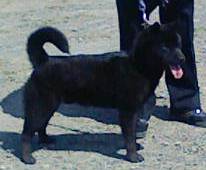 Stay Indoors,The inside