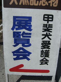 Stay Indoors,The inside