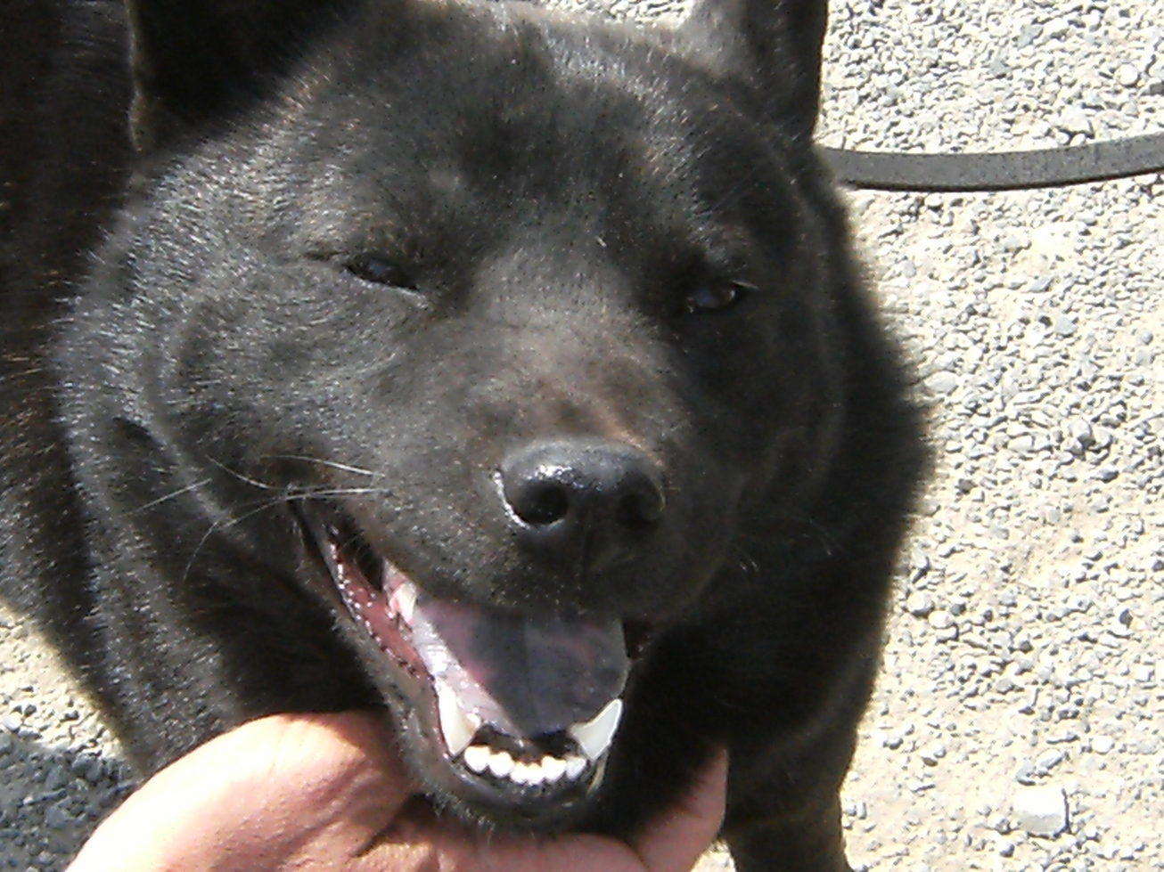 Stay Indoors,The inside