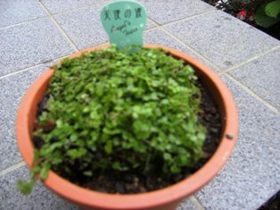 Stay Indoors,The inside