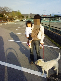 Stay Indoors,The inside