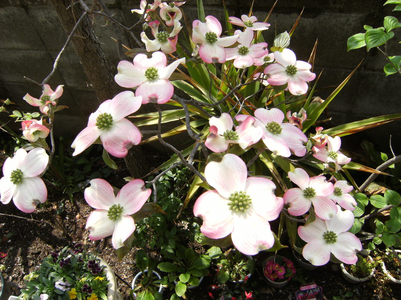 Stay Indoors,The inside