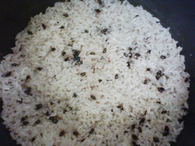 Stay Indoors,The inside