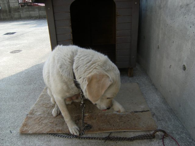 Stay Indoors,The inside