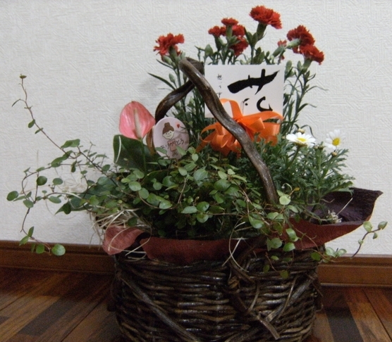 Stay Indoors,The inside