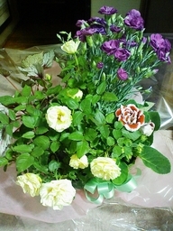 Stay Indoors,The inside