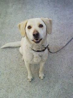 Stay Indoors,The inside