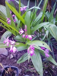 Stay Indoors,The inside