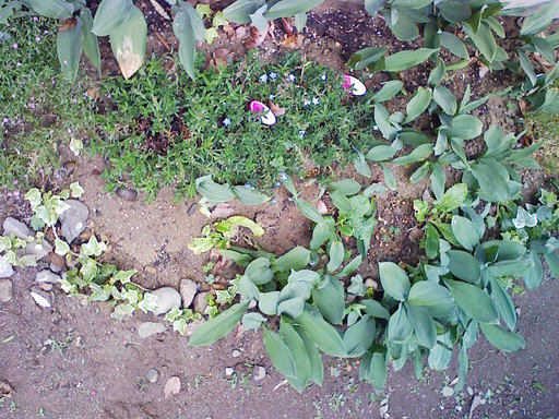 Stay Indoors,The inside