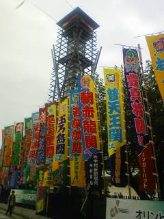 Stay Indoors,The inside