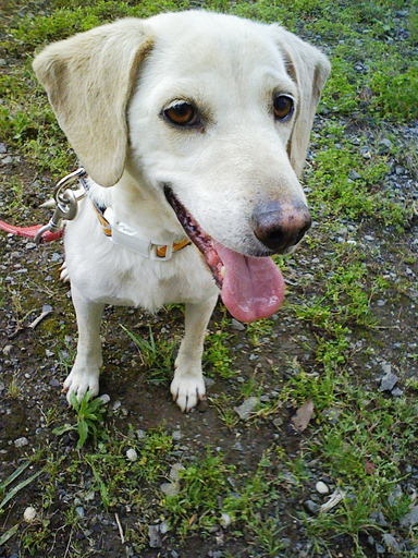 Stay Indoors,The inside