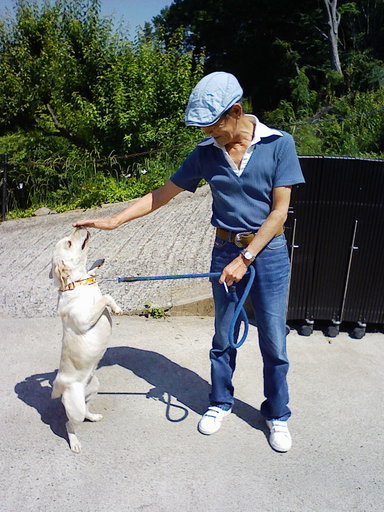 Stay Indoors,The inside