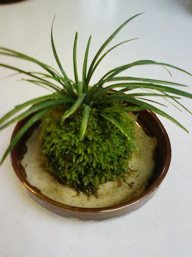 Stay Indoors,The inside