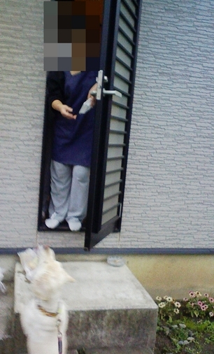 Stay Indoors,The inside