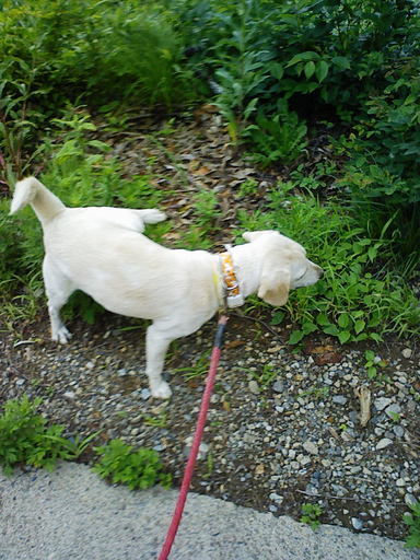 Stay Indoors,The inside