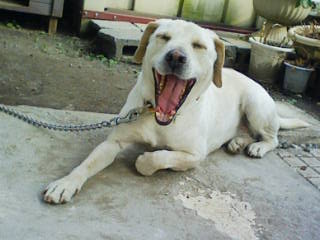 Stay Indoors,The inside