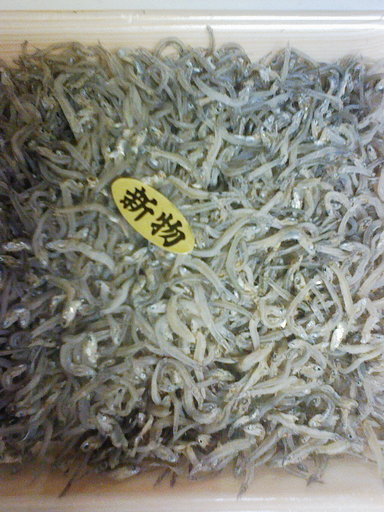 Stay Indoors,The inside