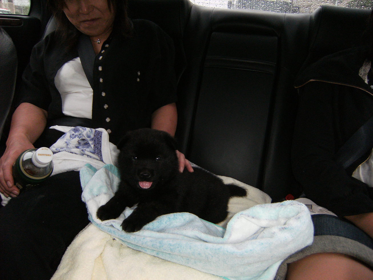 Stay Indoors,The inside