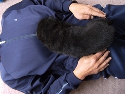 Stay Indoors,The inside