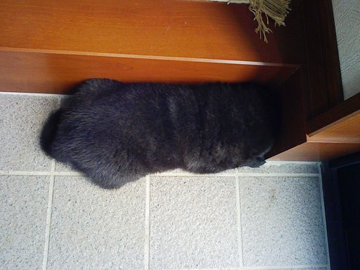 Stay Indoors,The inside