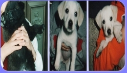 Stay Indoors,The inside