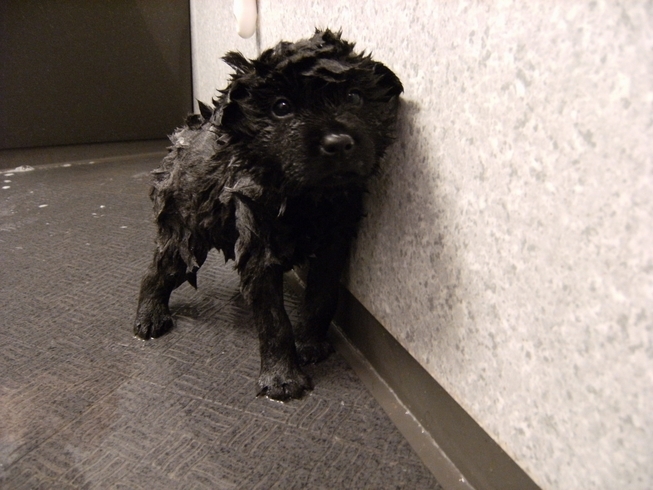 Stay Indoors,The inside