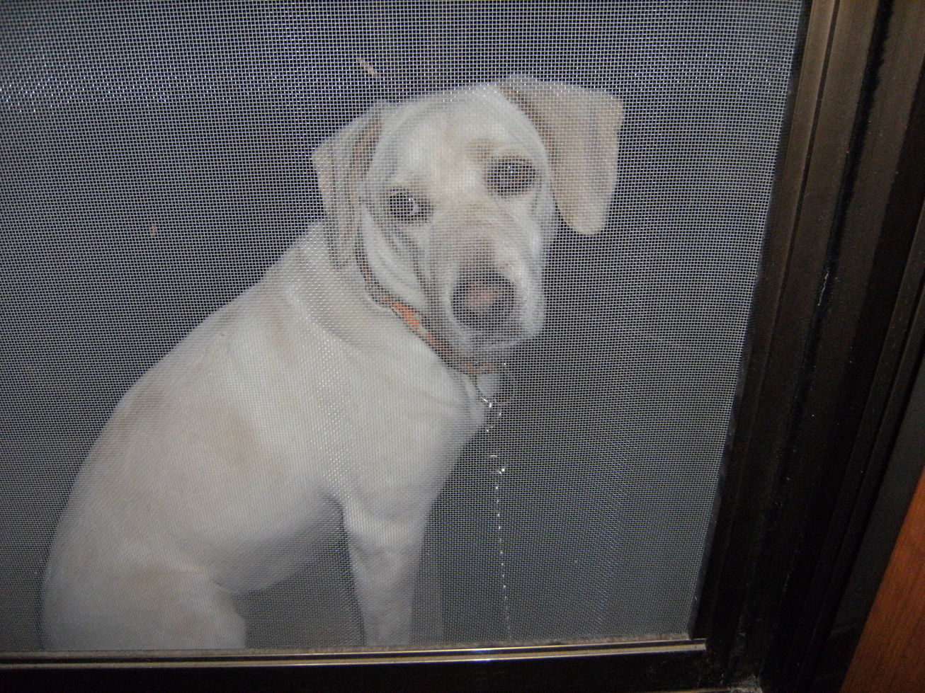 Stay Indoors,The inside