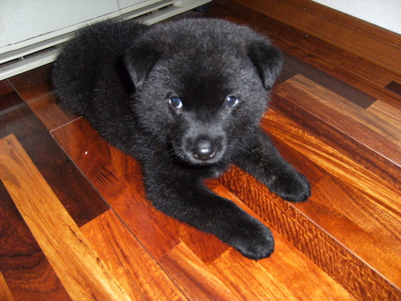 Stay Indoors,The inside