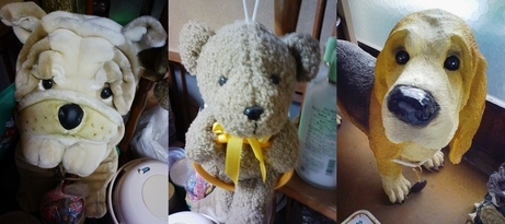 Stay Indoors,The inside