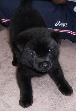 Stay Indoors,The inside