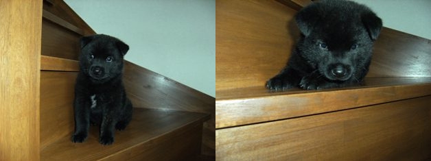 Stay Indoors,The inside