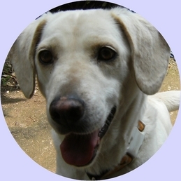 Stay Indoors,The inside