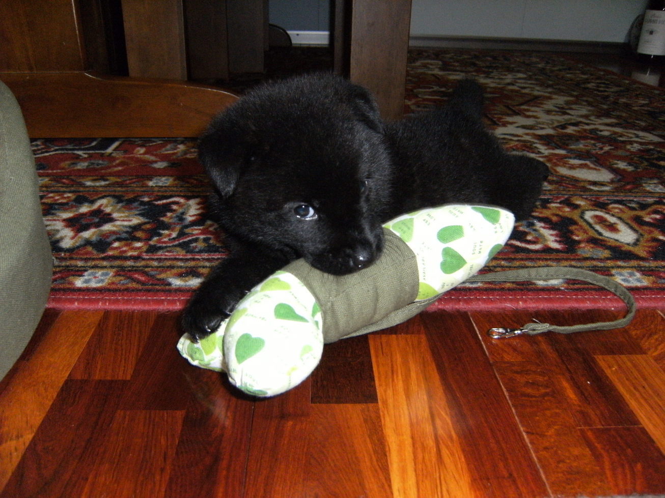 Stay Indoors,The inside