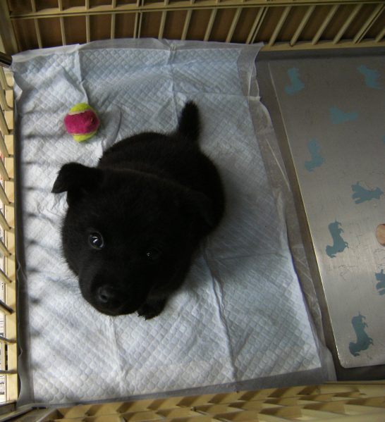 Stay Indoors,The inside