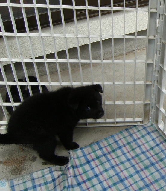 Stay Indoors,The inside