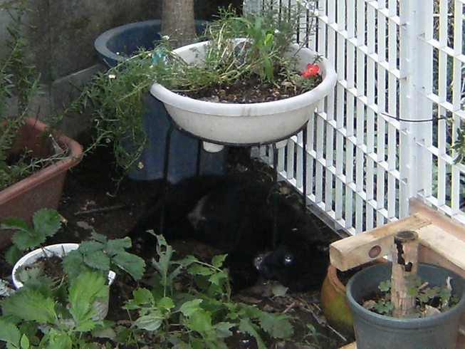 Stay Indoors,The inside