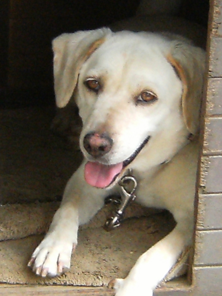 Stay Indoors,The inside