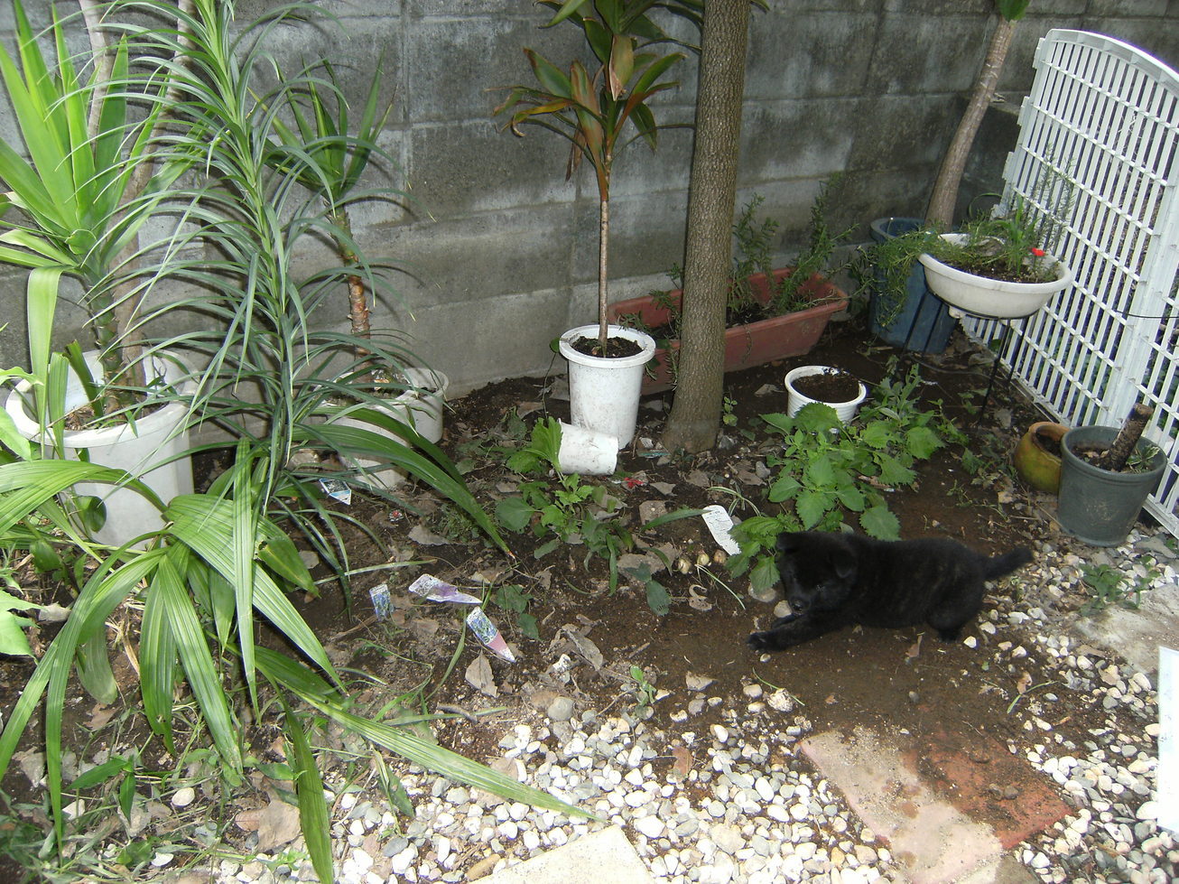 Stay Indoors,The inside