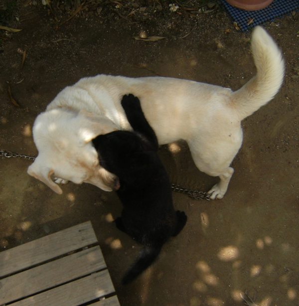 Stay Indoors,The inside