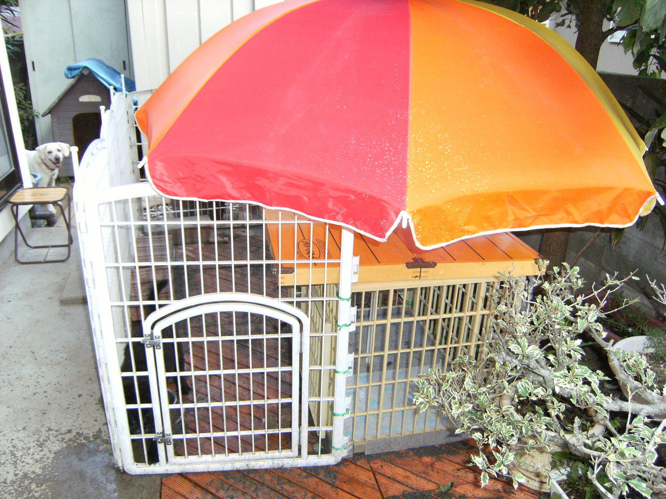 Stay Indoors,The inside